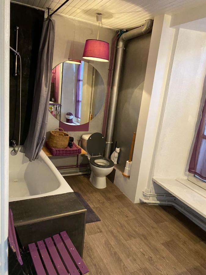 Charmant Appartement Au Coeur Des Volcans D Auvergne مورات المظهر الخارجي الصورة